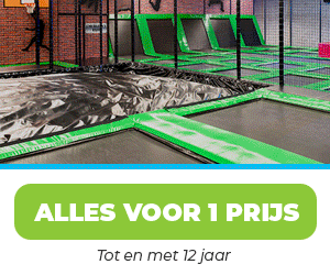 banner-ipm